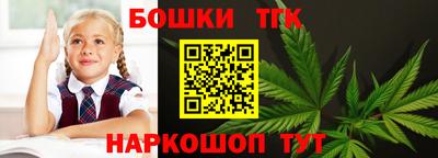 крисы Ирбит