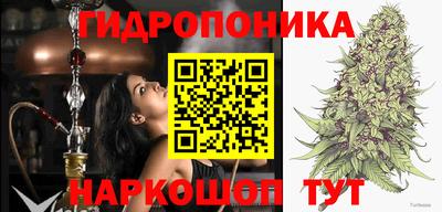 тгк Канаш