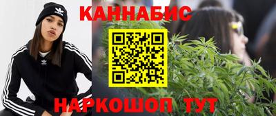 гидра Камышлов